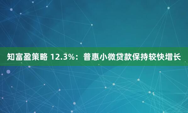 知富盈策略 12.3%：普惠小微贷款保持较快增长